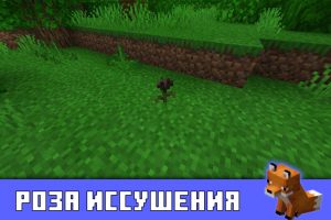 Роза иссушения в Minecraft PE 1.13.0