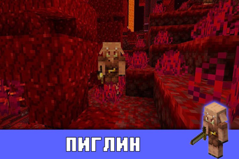 Download Minecraft PE 1.16.200.51