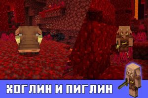 Пиглины и хоглины в Майнкрафт 1.16.0.55