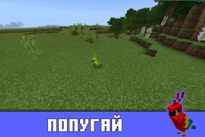 Попугай в Minecraft PE 1.2.0