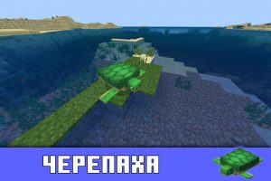 Черепаха в Майнкрафт 1.5.0