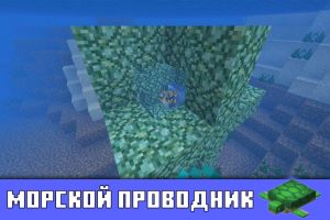 Морской проводник в Minecraft PE 1.5.0