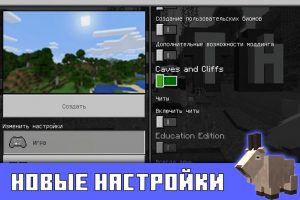 Новые настройки в Minecraft PE 1.16.200.52