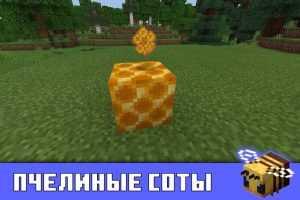 Пчелиные соты в Minecraft PE 1.14.1.3