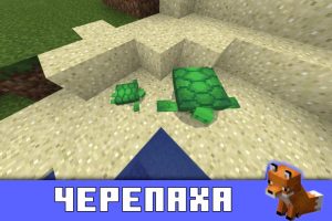 Черепаха в Minecraft PE 1.13.0.13