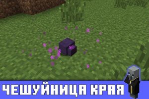 Чешуйница Края в Майнкрафт ПЕ 1.1.1