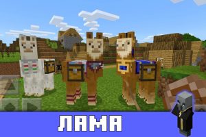 Лама в Майнкрафт ПЕ 1.1.0