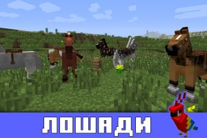 Лошади в Майнкрафт ПЕ 1.2.6