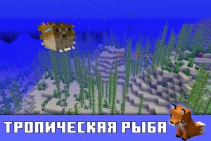 Тропическая рыба в Minecraft PE 1.13.0.13