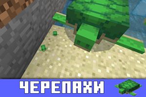 Черепахи в Minecraft PE 1.5.0