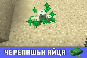 Черепашьи яйца в Майнкрафт ПЕ 1.5.3