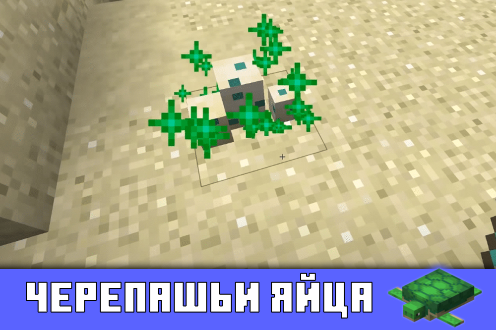 Черепашьи яйца в Minecraft PE 1.5.3 Черепашьи яйца в Майнкрафт ПЕ 1.5.3
