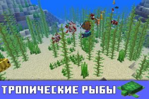Тропические рыбы в Майнкрафт ПЕ 1.5.2