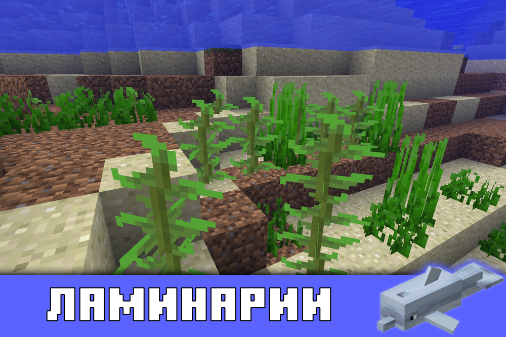 Ламинарии в Майнкрафт ПЕ 1.4.1