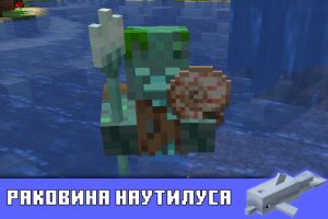 Раковина наутилуса в Майнкрафт ПЕ 1.2.20.1