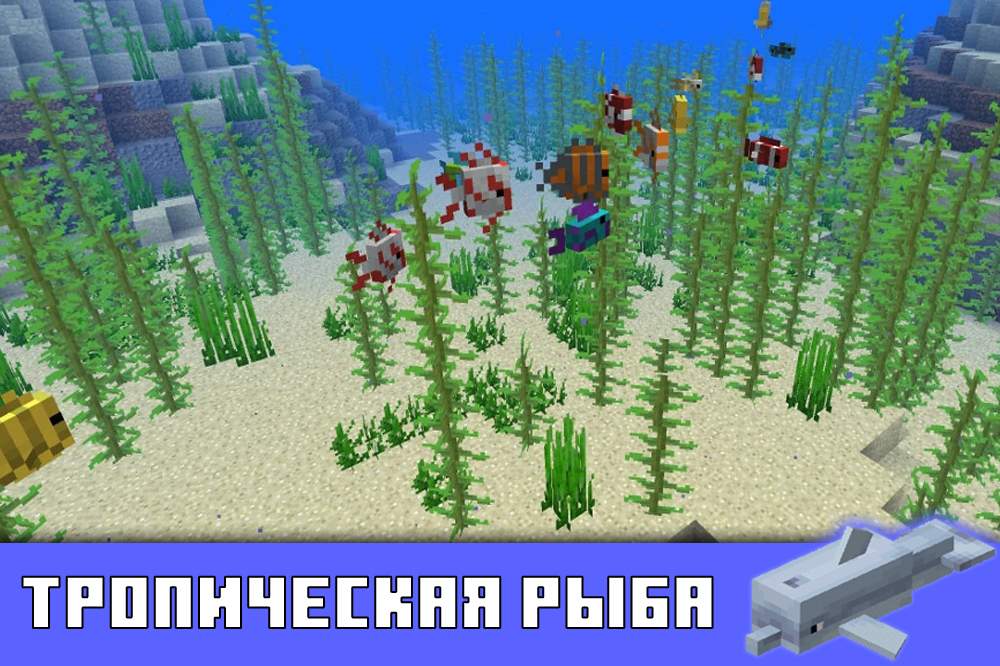 Тропические рыбы в Майнкрафт ПЕ 1.4.1