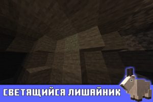 Светящиеся лишайники в Майнкрафт 1.16