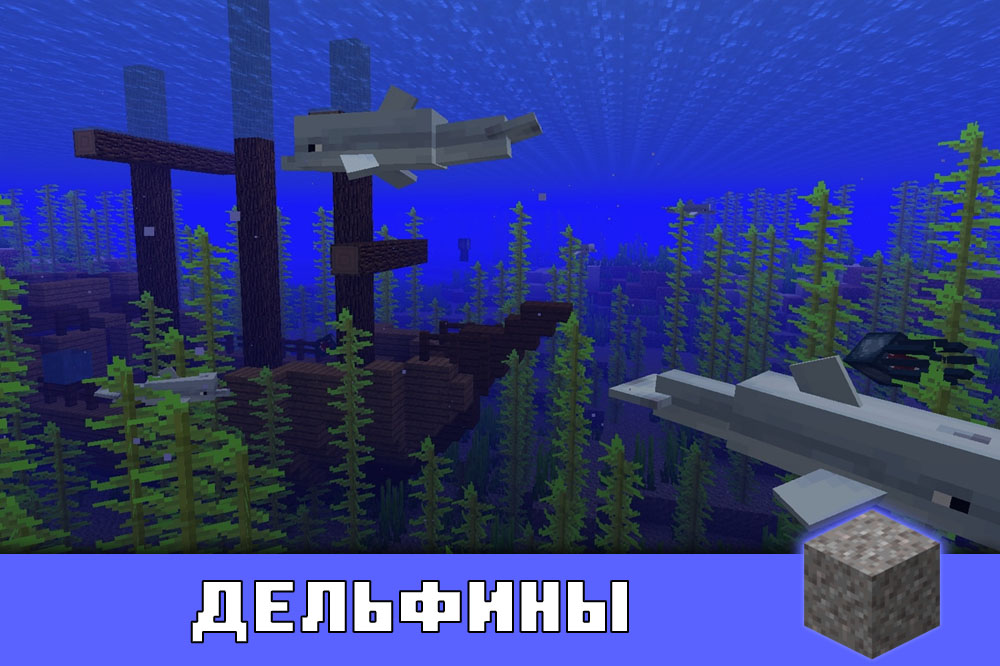 Дельфины в Minecraft PE 1.7.0.7 Дельфины в Майнкрафт 1.7.0.7