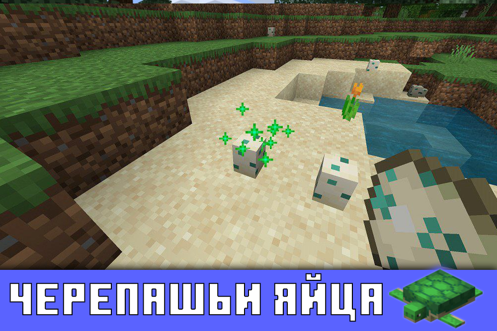Черепашьи яйца в Майнкрафт ПЕ 1.5.0.10