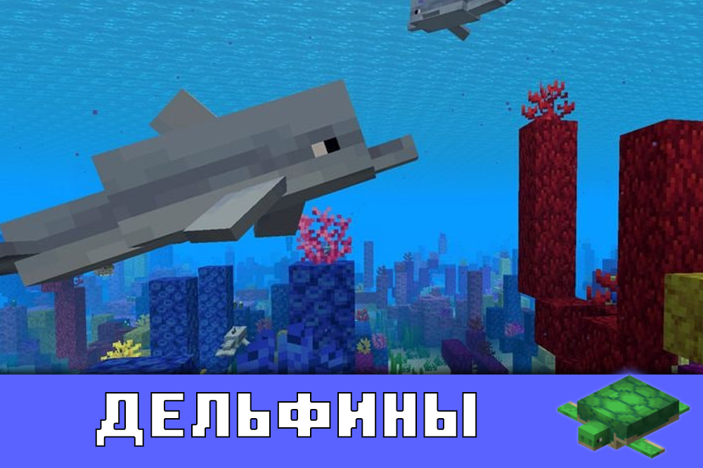 Дельфин майнкрафт картинки