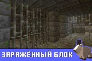 Заражённый блок в Майнкрафт 1.17