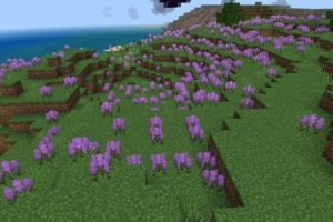 Лавандовое поле из Майнкрафт ПЕ 2.0