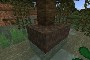 Мангровое дерево в Майнкрафт ПЕ 1.19