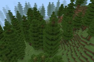 Сосновый лес из Майнкрафт ПЕ 2.0